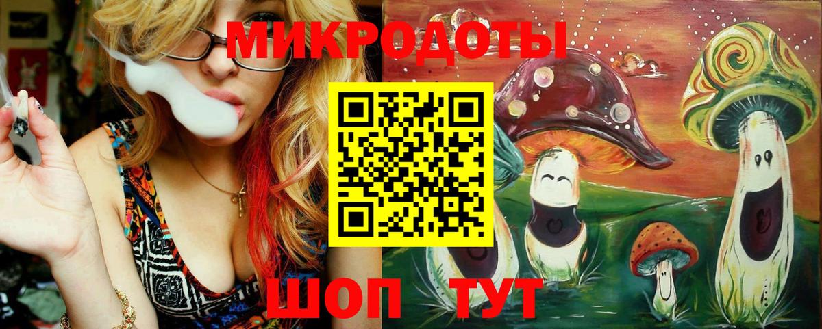 Псилоцибиновые грибы мицелий Новоалтайск