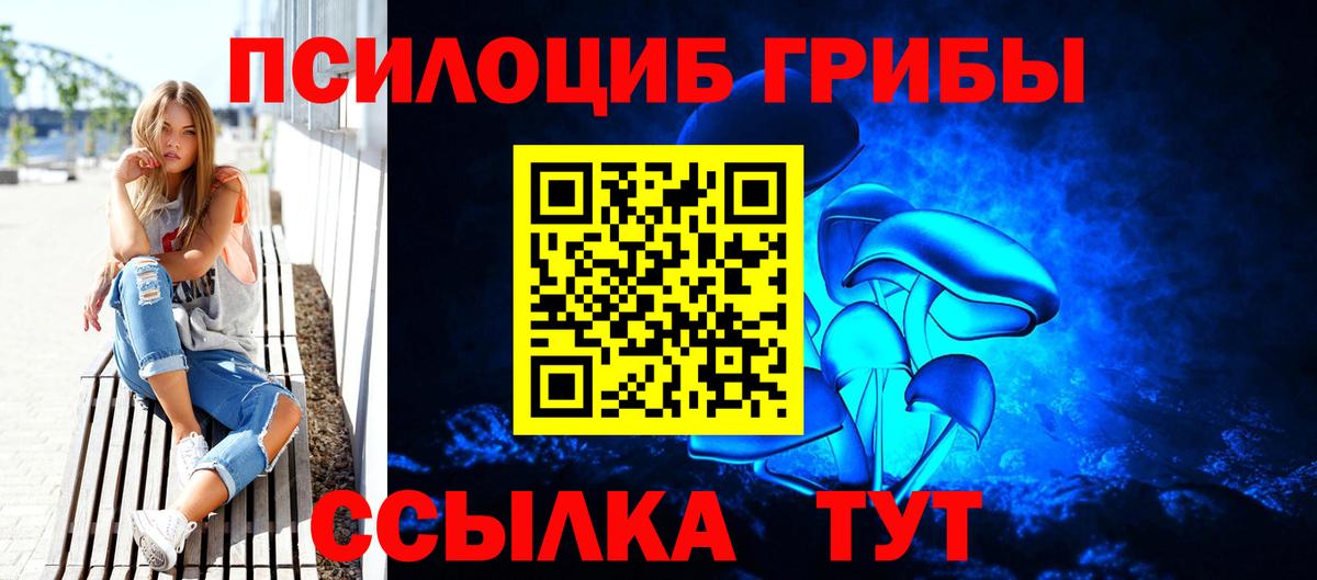 магазин продажи наркотиков  Псилоцибиновые грибы ЛСД  Псилоцибиновые грибы прущие грибы  Вход с VPN  Новоалтайск 